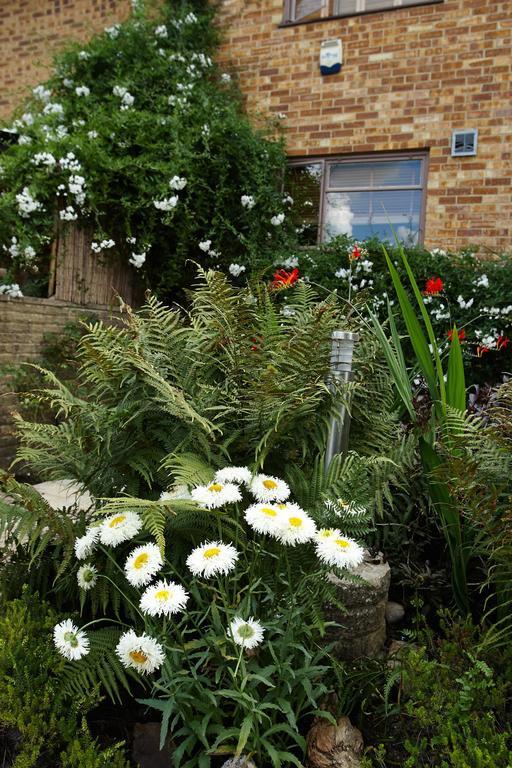 Richmond Lane Guest House - Aa Accredited Romsey Extérieur photo